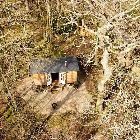 Bluebell Shepherds Hut Rolvenden Luaran gambar